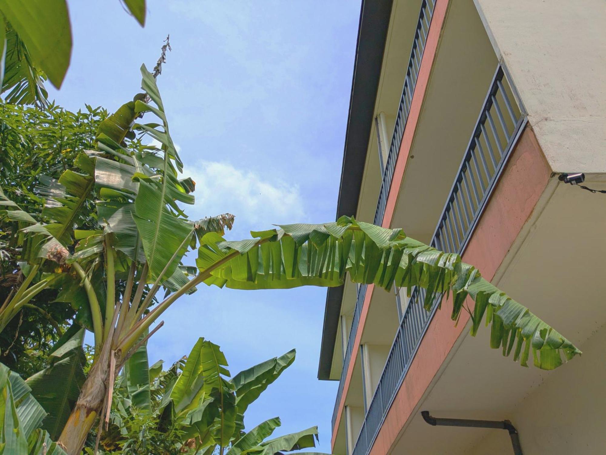 Garden Palace Downtown โครอร์ ภายนอก รูปภาพ