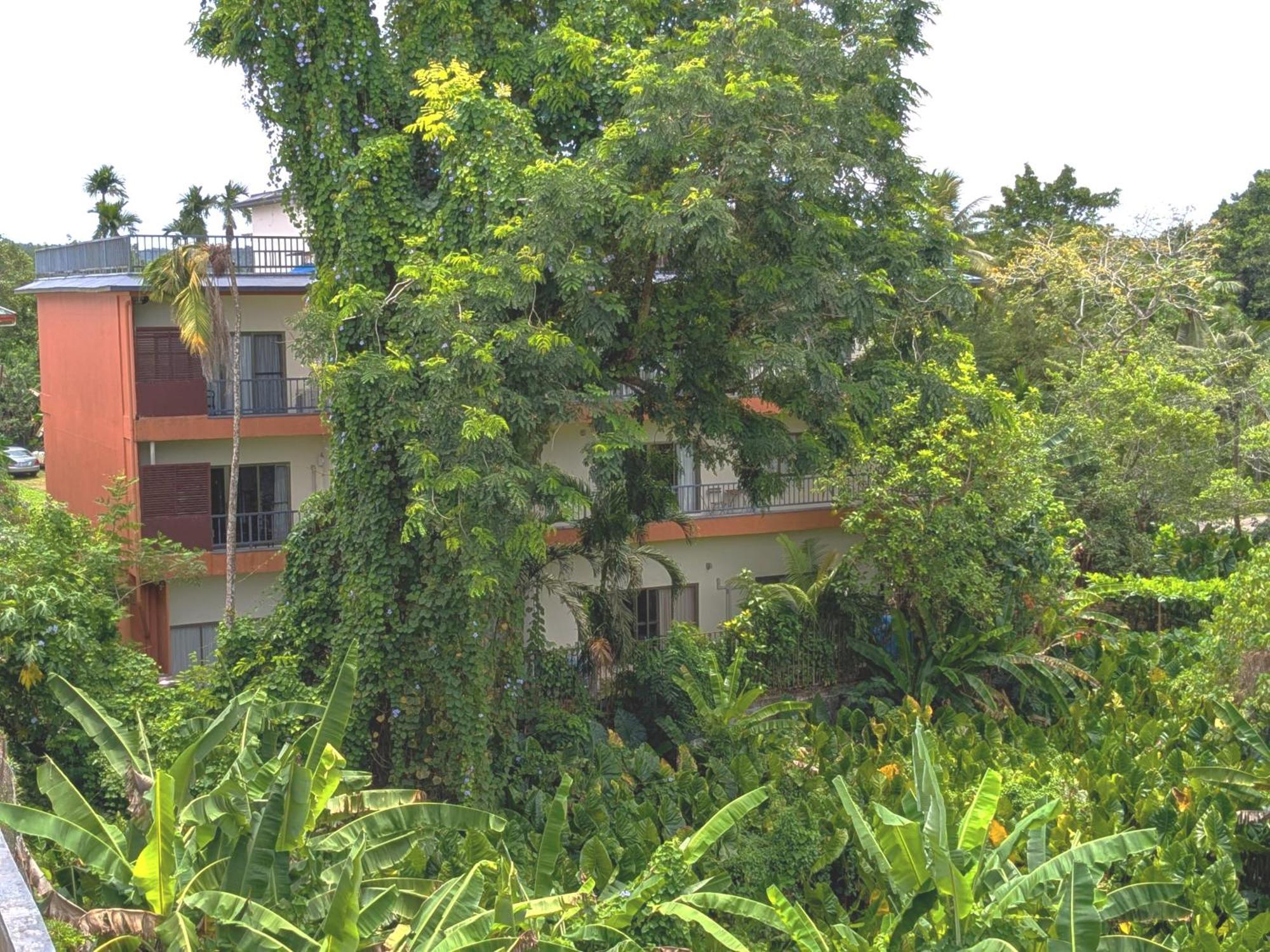 Garden Palace Downtown โครอร์ ภายนอก รูปภาพ